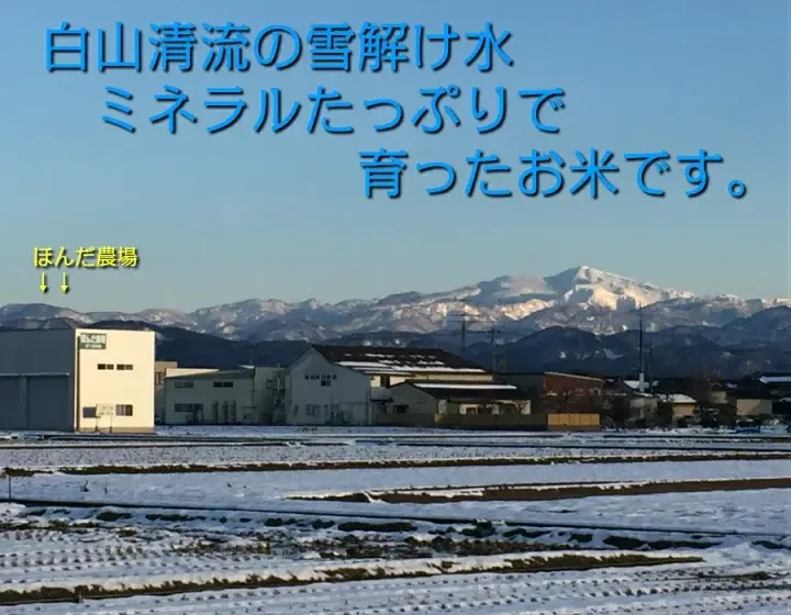 在庫一掃 令和4年産 2〜10kg ゆめみづほ 白米・玄米対応