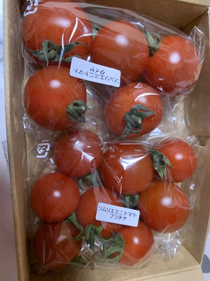 みんなの投稿の画像