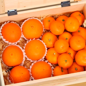 木箱贈答用！　食べ比べセット！！　みかん18玉　愛果28号6玉　　限定15箱