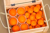 木箱贈答用！　食べ比べセット！！　みかん18玉　愛果28号6玉　　限定15箱