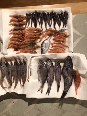 みんなの投稿の画像