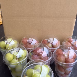 【訳有り】シャイン&クイーンルージュ®  粒ｶｯﾌﾟ 2kg(250g×8)