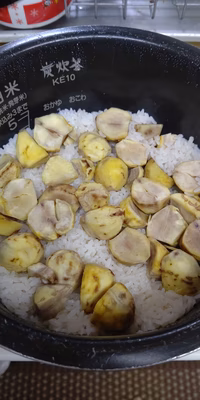 みんなの投稿の画像