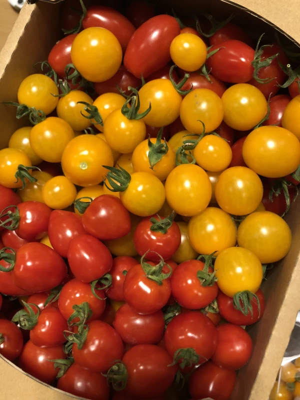 ミニトマト 3種類詰め合わせ 2kg箱