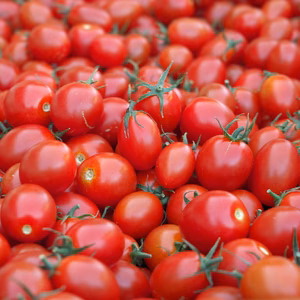 お買い得♪　【訳あり】、不揃いミニトマト　通常品の10%OFF