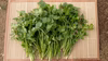 風味豊かなハーブ　【パクチー】
