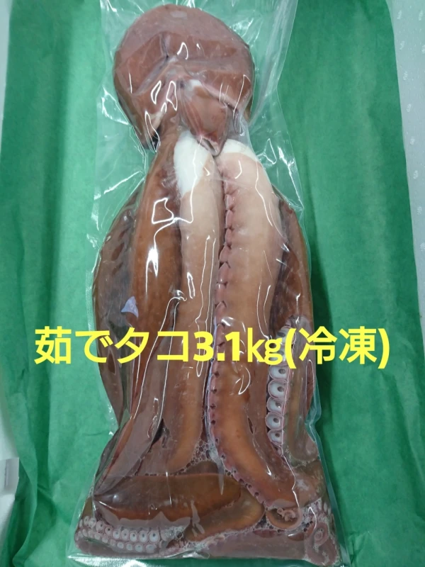小樽産 茹でタコ  3.1㎏(冷凍)