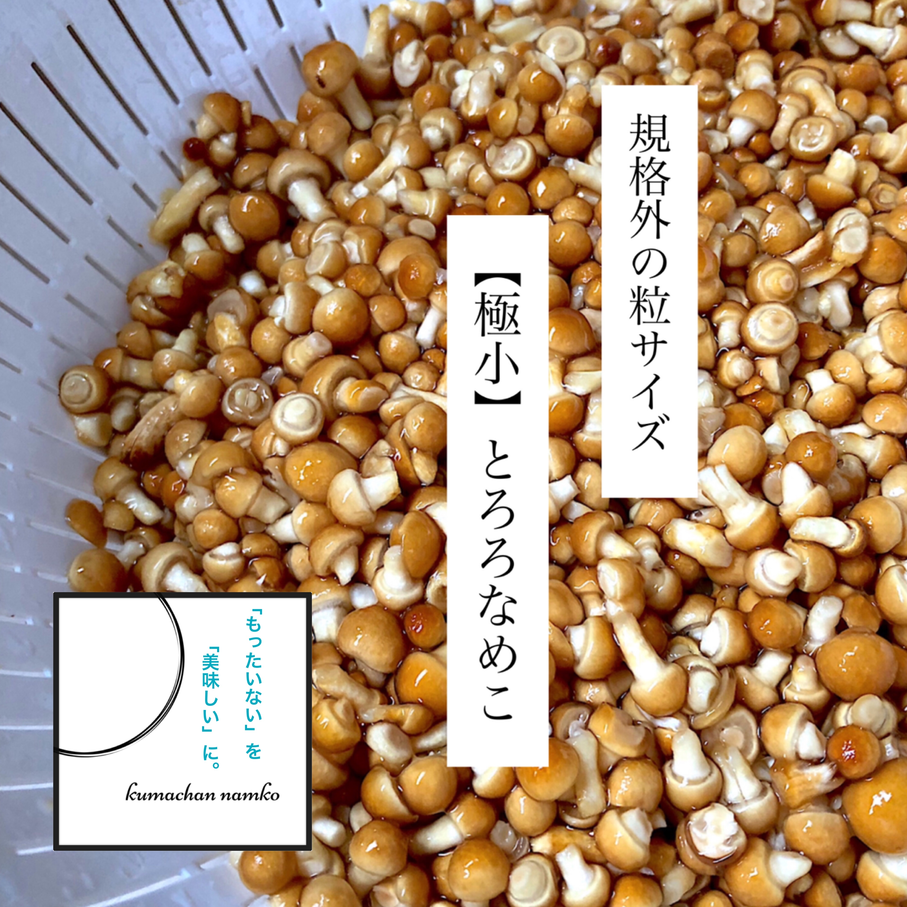 山形県産】天然なめこ・本日の採れたて・その72