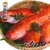 【週末SALE】日曜PM3:00まで！宮崎県産の高級魚アカハタ(1kg)
