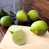 【栽培期間中農薬不使用・希少品】熊本産ライム
