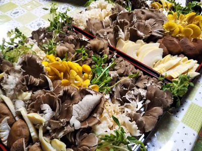 みんなの投稿の画像