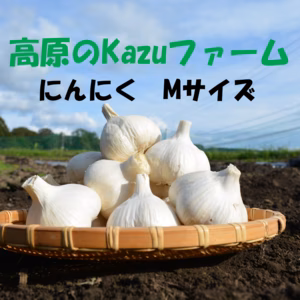 信州八ヶ岳産　農薬・化学肥料栽培期間中不使用にんにく　