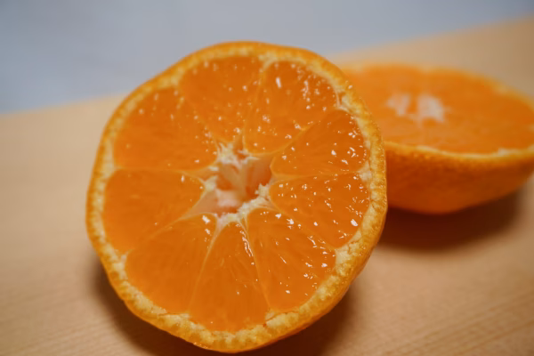 1月下旬～出荷　山下農園 『完熟蔵出しみかん』