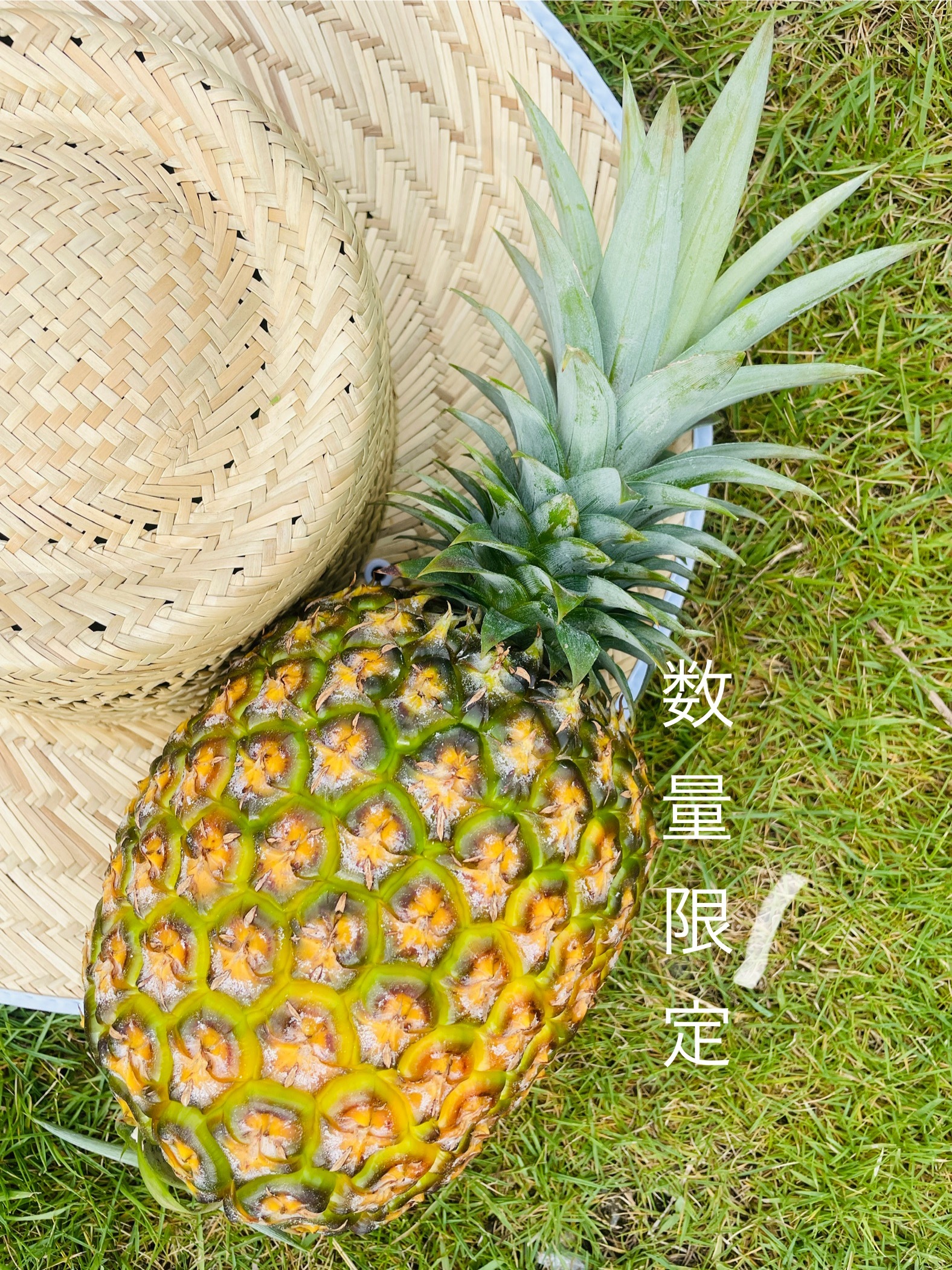 ゴールドバレルの産直通販・お取り寄せ商品｜ポケットマルシェ｜産地