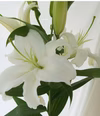 ☆爽やかさが溢れる白ユリ☆お届けします