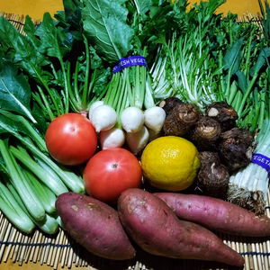 【大寒】魚の町で長年育ててもらった野菜セット