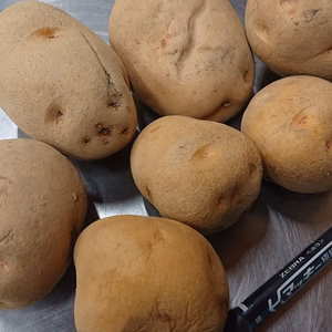 北海道産キタアカリ