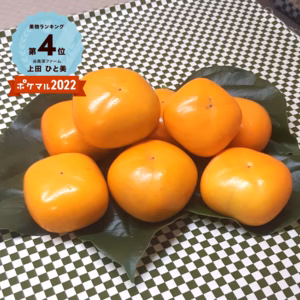 明日発送❣　最後のたねなし柿(平核無) １２個入り（※ご家庭用）　