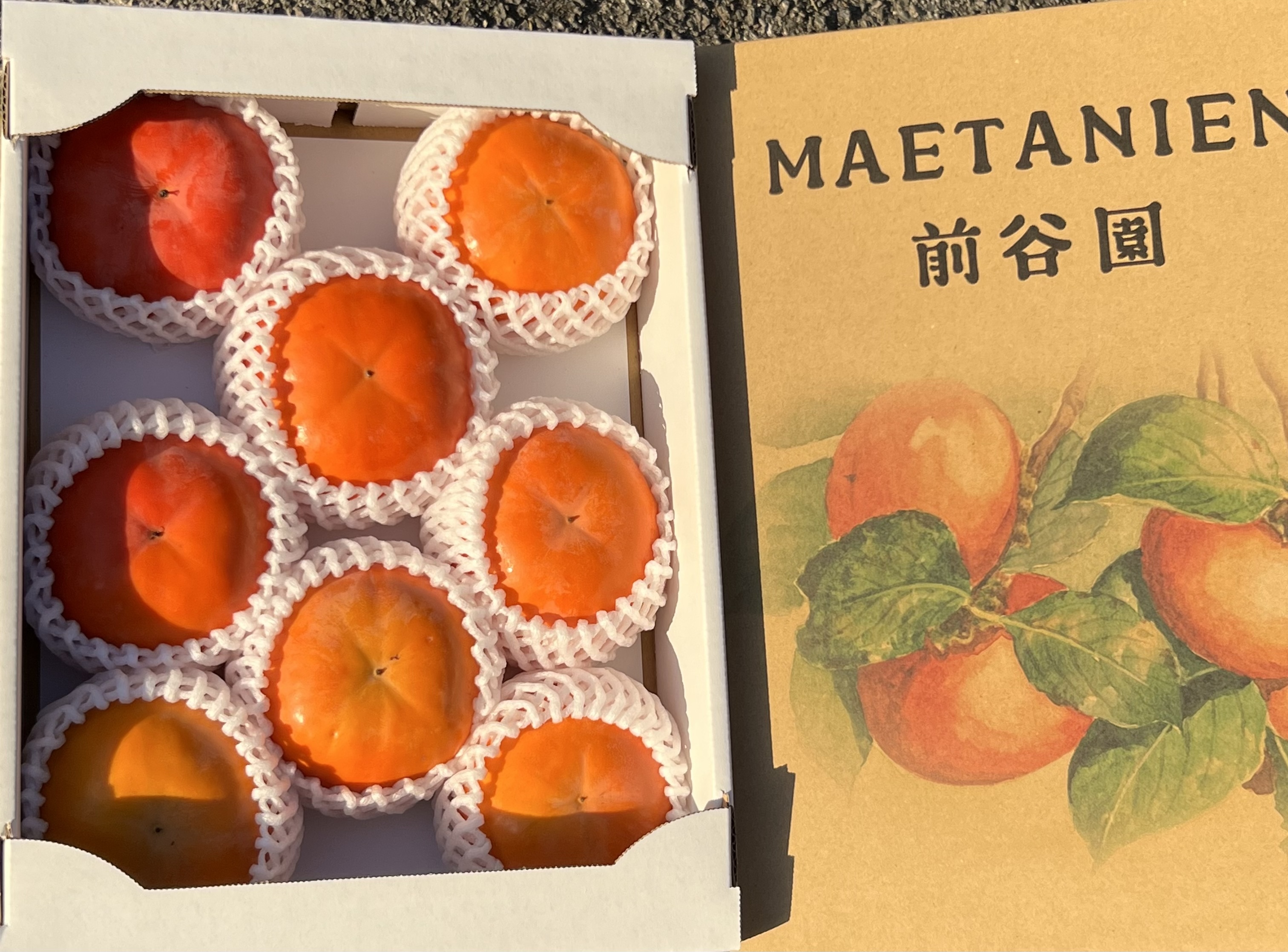 贈答用 富有柿 3kg (8〜12個入り) 1箱 8個〜12個入り