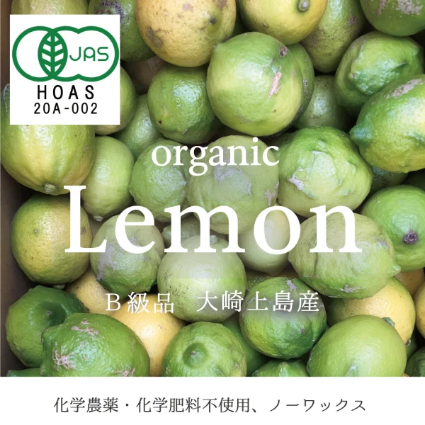 【有機JAS認証！】オーガニックグリーンレモンB級品　国産（広島県産）