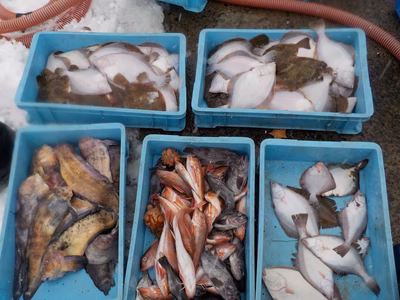 みんなの投稿の画像