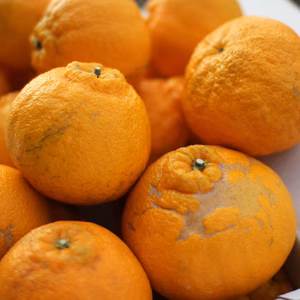 【訳あり】数量限定B品　パクパクデコ