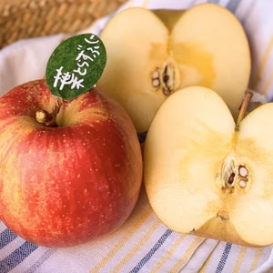 【先行予約】《家庭用》青森完熟葉とらずふじ８〜１５玉(約３kg)