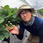 おうちでいちご狩り ベリーナルビー いちご狩りセット 農家漁師から産地直送の通販 ポケットマルシェ