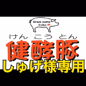 しゅげ様専用