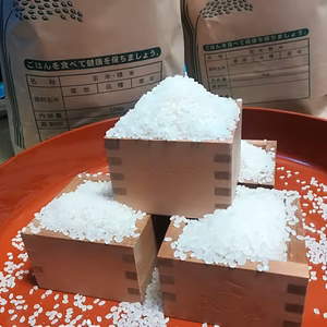 新米もち米☆ヒメノモチ5キロ,3キロ