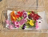 エディブルフラワー 季節ミックス(食用花)