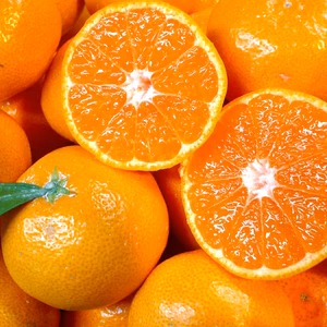 段々畑の有田みかん3kg(約26～30個)