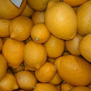 国産☆Bクラス☆リスボンレモン☆3kg