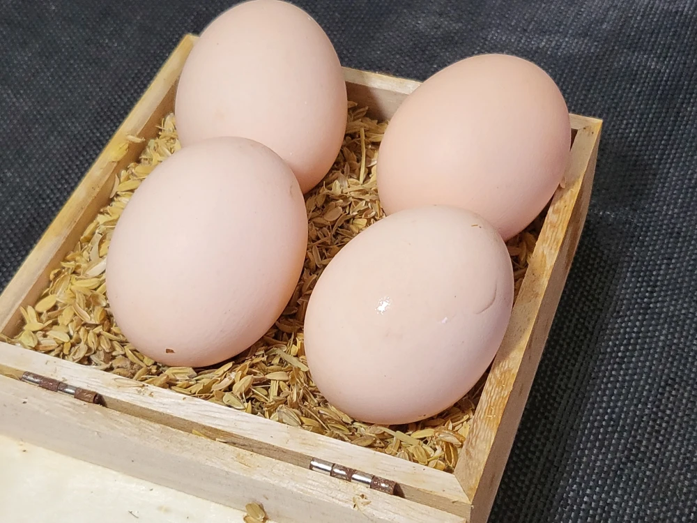 放し飼いで育った鶏が産んださくら色の卵（20個）｜卵・乳の商品詳細