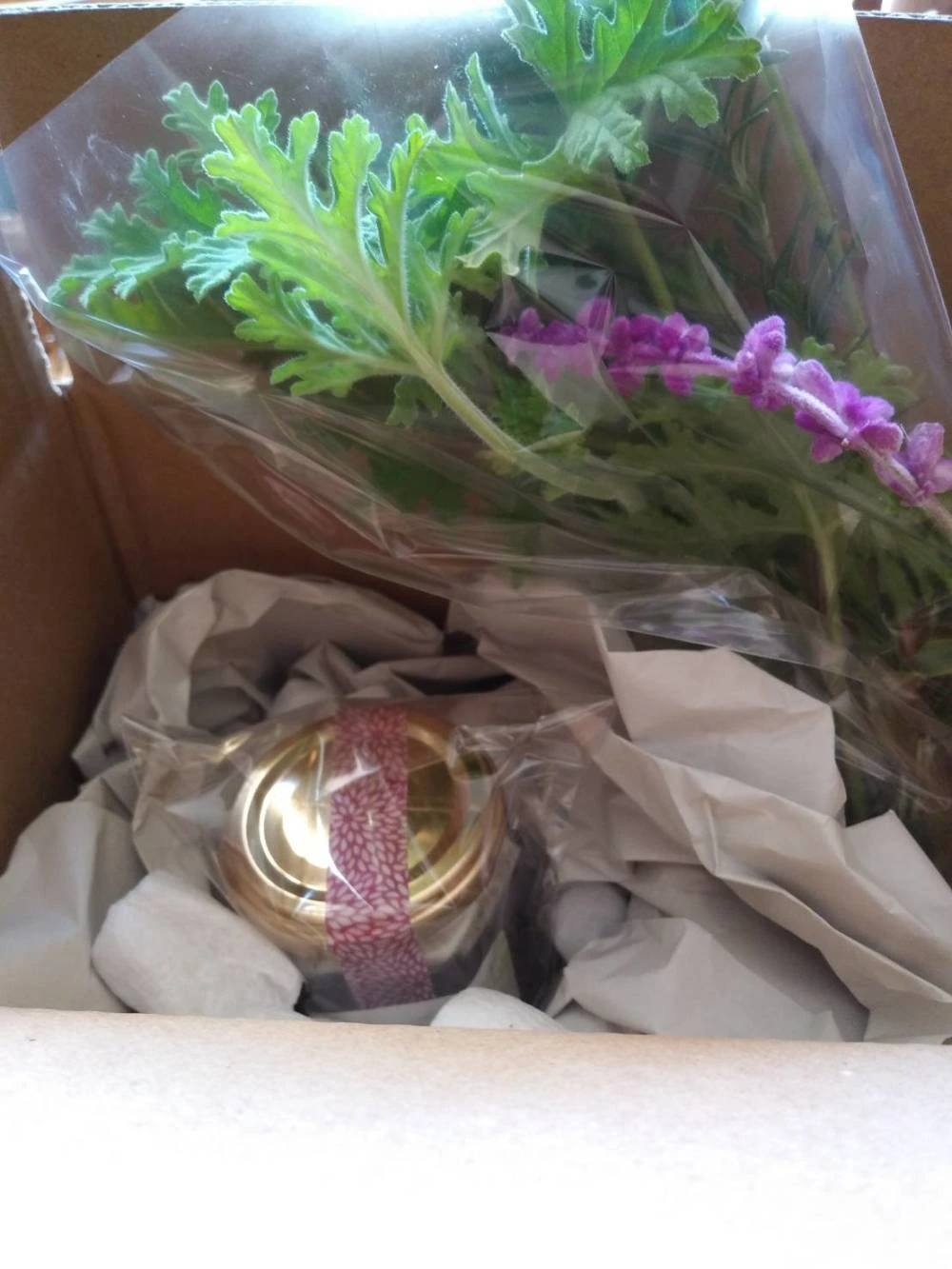 日本蜜蜂の生はちみつ(垂れ蜜、非加熱、淡路島産)
