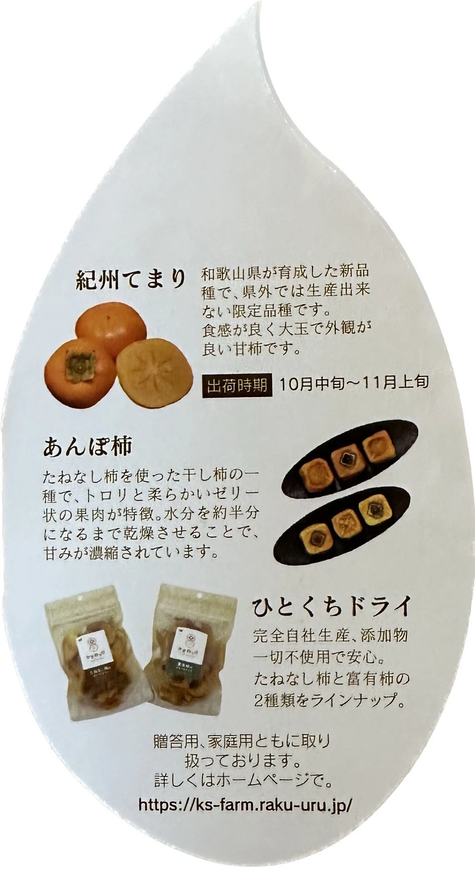 和歌山県産たねなし柿のドライフルーツ100g×4袋セット