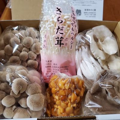 みんなの投稿の画像