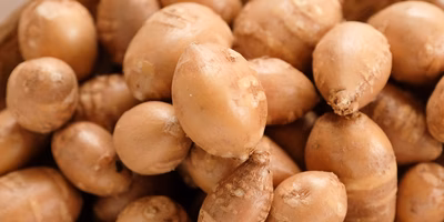 めちゃうまな珍野菜「アピオス」を買って観察して味わってみたよ