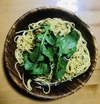 【常温60BOX】手摘みルッコラ菜／イタリア野菜／宮崎県産