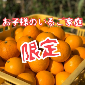 《小粒優先！》【Beni NEW SUMMER ORANGE】mini