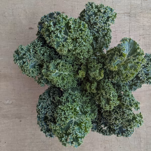 春のケール　300g〜