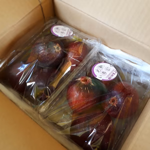 A2P [自家用]お試し完熟いちじく2パック