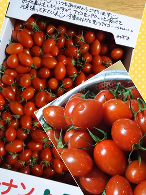 みんなの投稿の画像