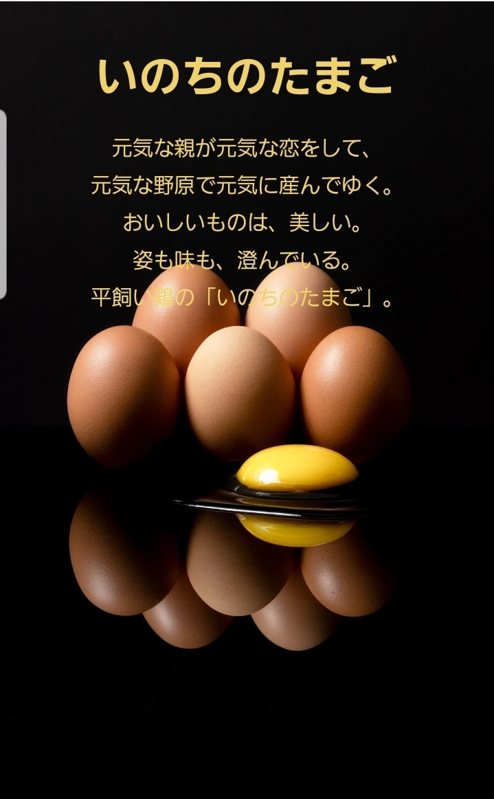 たまご様専用「鳥の母子手帳」8冊 （お客様からのおたより）