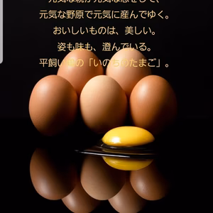 【平飼い】いのちのたまご6パック