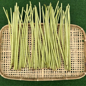 【旬の山菜】蕗(ふき)1kg