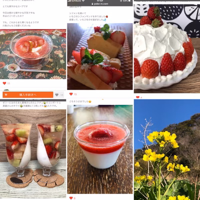 みんなの投稿の画像