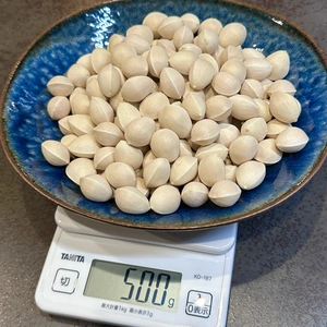 【訳アリ大特価!】祖父江産　銀杏〈久寿〉混合MIXサイズ500g