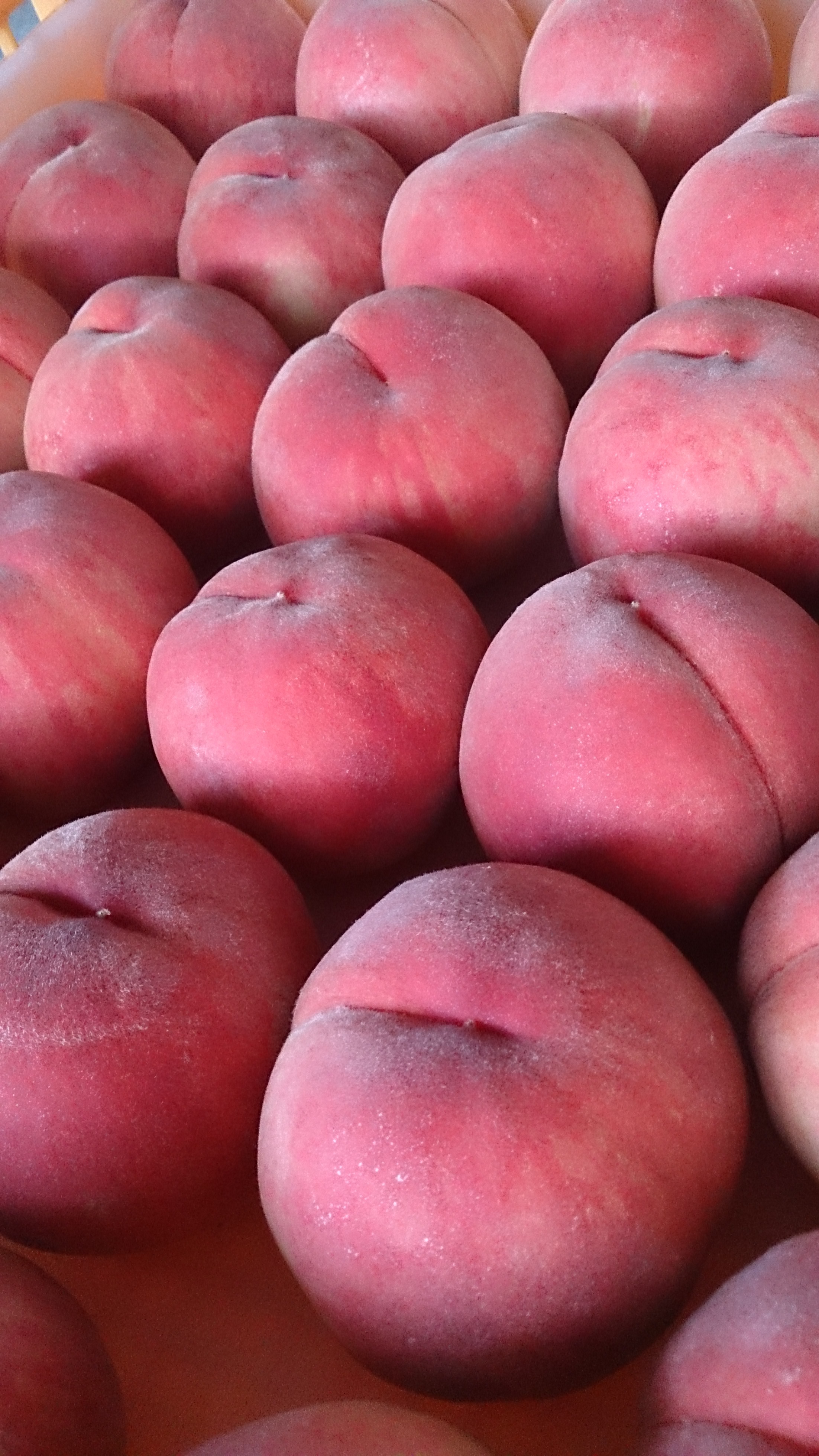 初入荷…‼️あかつき…‼桃️特大…類サイズ16玉入り‼️発泡スチロール