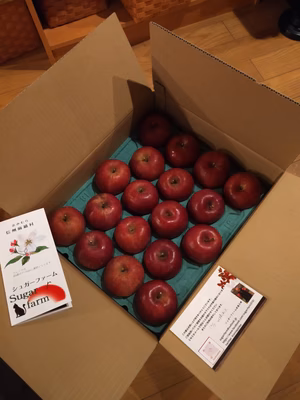 みんなの投稿の画像